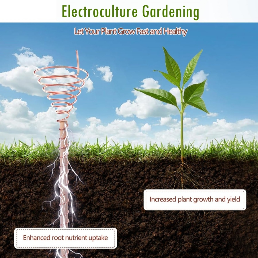 20m/65ft Electroculture Garden - Dowel Jig Kit review and price